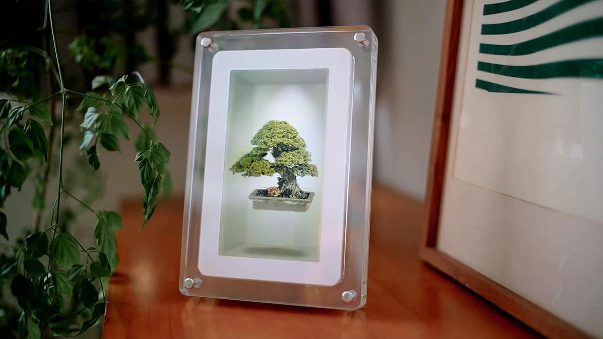Looking Glass Musubi Brings Holographic Displays to Consumers